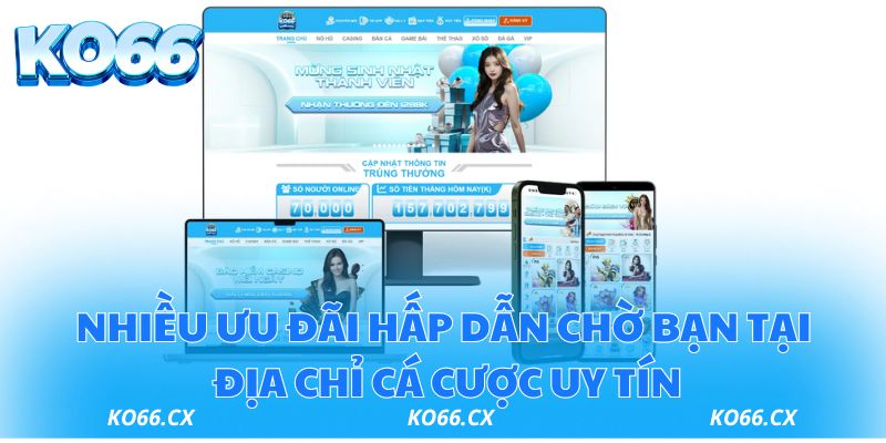 Nhiều ưu đãi hấp dẫn chờ bạn tại địa chỉ cá cược uy tín