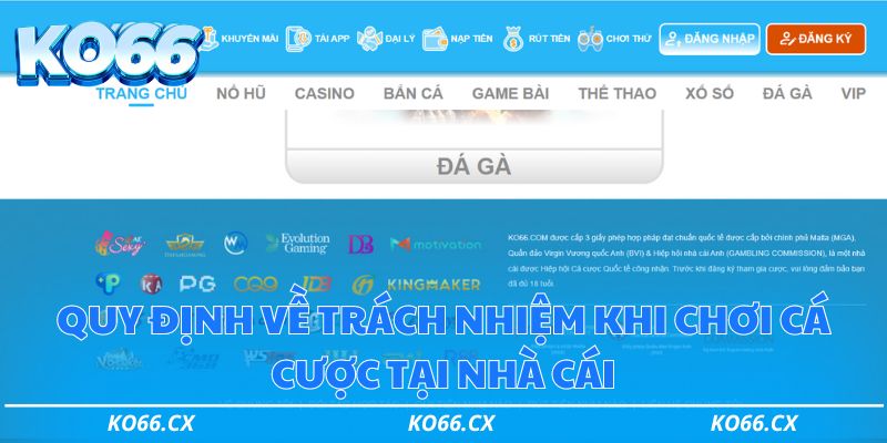 Quy định về trách nhiệm khi chơi cá cược tại nhà cái