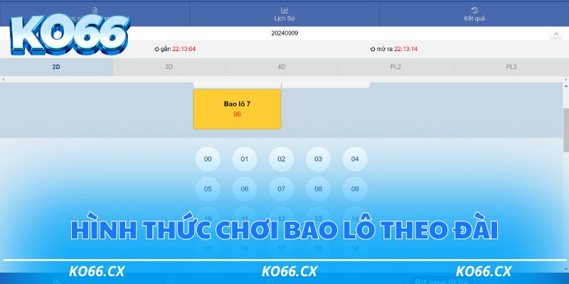 Hình thức chơi bao lô theo đài