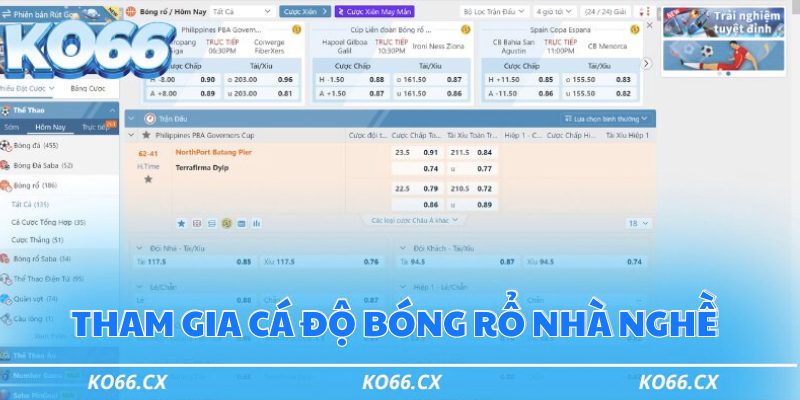 Tham gia cá độ bóng rổ nhà nghề